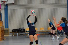 mini-DSC_8197