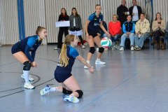 mini-DSC_8251