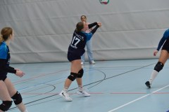 mini-DSC_8598