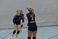 mini-DSC_8602