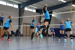 mini-IMG_5299-1