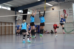 mini-IMG_5312-1