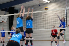 mini-P1070472